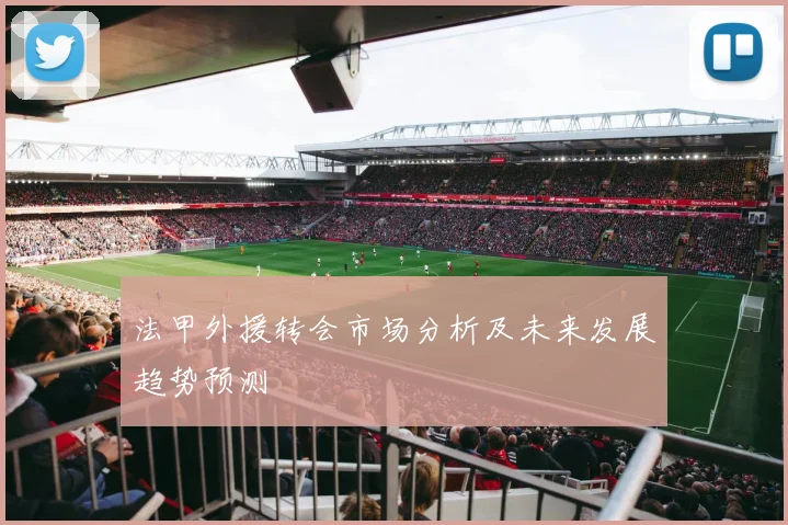 法甲外援转会市场分析及未来发展趋势预测
