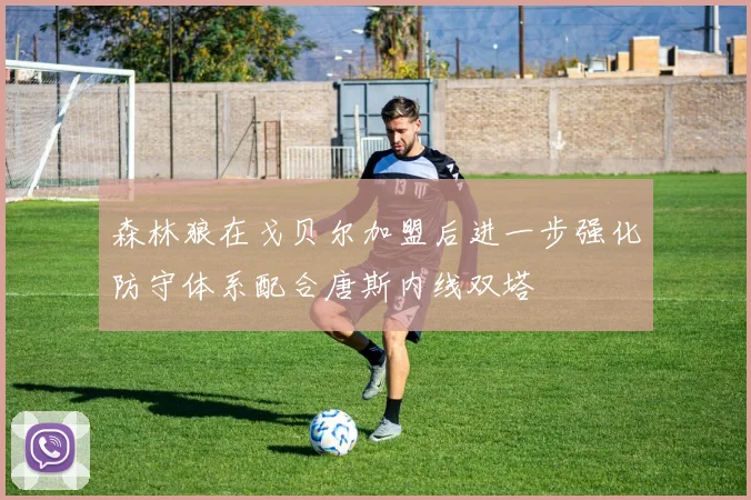 森林狼在戈贝尔加盟后进一步强化防守体系配合唐斯内线双塔