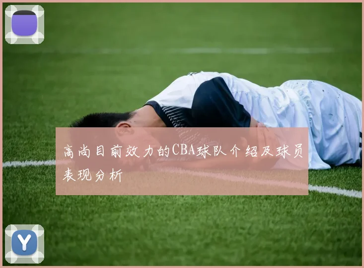 高尚目前效力的CBA球队介绍及球员表现分析