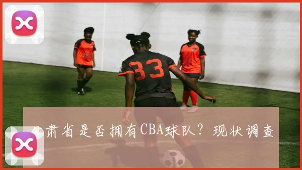 甘肃省是否拥有CBA球队？现状调查